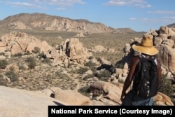 A hiker along the Hidden Valley trail, Joshua Tree National Park