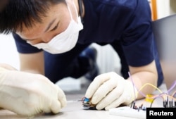 Researcher Yujiro Kakei connects a solar cell to a "backpack" of electronics mounted on a Madagascar hissing cockroach during a photo opportunity at the Thin-Film Device Laboratory of Japanese research institution Riken in Wako, Saitama Prefecture, Japan September 16, 2022. (REUTERS/Kim Kyung-Hoon)