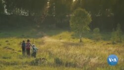 Bu yil AQShda bolalar oromgohlari ishlaydimi?