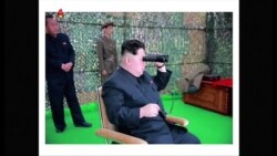 Military Analysts: N. Korean Submarine Missile Launch a 'Successful Failure'