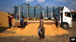 FILE - Workers unload rice from a truck at a rice collection center in the northeastern province of Roi Et , Thailand, Dec. 4, 2013. The military government has plans to spend over $900 million to boost the country's northeastern economy as it recovers from a two-year recession.