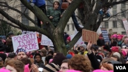 A young boy looks on the Women’s March rally crowd from a tree in Washington, D.C., Jan. 21, 2017. (E. Sarai/VOA)