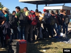 Large groups of young men are among the hundreds of thousands of people moving from the Middle East and Africa towards Europe. Young men say there’s no future in warzones, so Europe is their only chance. Photo taken in Opatovac, Croatia, Sept.21, 2015. (VOA / H. Murdock)