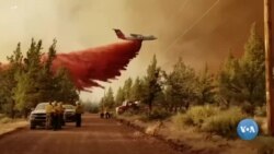 Xalqaro hayot - 13-iyul, 2021-yil