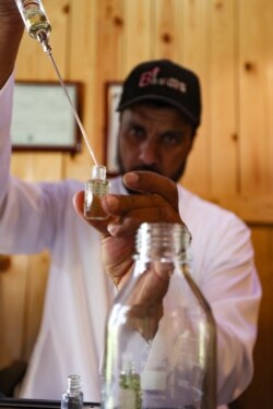 Seorang pekerja di pertanian Bin Salman, mengisi botol dengan minyak mawar di kota mawar, Taif, Arab Saudi, 11 April 2021.