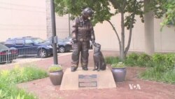 Popular Washington Monument Pays Tribute to Fire Dogs