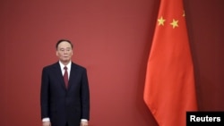 中国国家副主席王岐山 （资料照片）