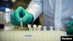 Employee Philipp Hoffmann, of German biopharmaceutical company CureVac, demonstrates research workflow on a vaccine for the coronavirus (COVID-19) disease at a laboratory in Tuebingen, Germany, March 12, 2020. (REUTERS/Andreas Gebert)