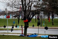 Umbrellas hang from a tree outside a U.S. Democratic presidential candidate and U.S. Senator Bernie Sanders rally at the University of Buffalo in Buffalo, New York, April 11, 2016.