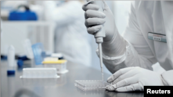 Seorang ilmuwan bekerja untuk meneliti vaksin Covid-19 di produsen obat Moderna (foto: ilustrasi). 