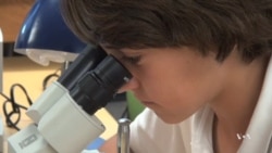 ‘SharkFinder’ Brings Science Excitement to Classrooms