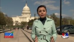 Nyu-Yorkdagi hujjatsiz immigrantlar - ID for all New Yorker?