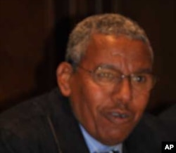 Parliamentary candidate Siye Abraha