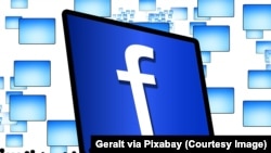 Facebook founder Mark Zuckerberg denies that untrue stories appearing on Facebook affected the results of the U.S. presidential election.