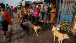 People make their way down a busy street in the Diepsloot, north of Johannesburg, Thursday, Aug. 26, 2021. A study of people aged 18-24 in 15 African countries found that many have lost jobs or have seen their education stopped or changed by the pandemic. (AP Photo/Denis Farrell)