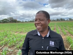 Isaiah Nyagumbo an agronomist at International Maize and Wheat Improvement Center in Mazowe on Dec. 10, 2018, says with conservation agriculture we are also minimizing the amount of run off out of the system.