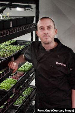 Robert Laing of Farm.One