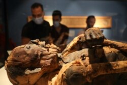 Pengunjung melihat mumi di museum baru di Bandara Internasional Kairo, Mesir, 18 Mei 2021. (REUTERS / Mohamed Abd El Ghany)