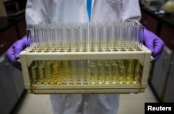 FILE - An employee carries test tubes inside a laboratory in India, Aug. 11, 2014.