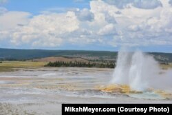 More than half the world's geysers are in Yellowstone National Park.