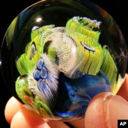 Simpson yasagan mana bu shar kichik sayyoraga o'xshaydi. Narxi 125 dollar.