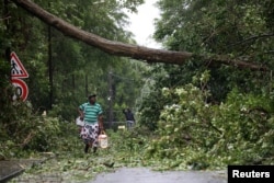 A man looks at a fallen tree as he walks along a street after the passage of Hurricane Maria in Pointe-a-Pitre, Guadeloupe island, France, Sept. 19, 2017.