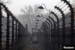 FILE - A visitor walks between electric barbed-wired fences at the Auschwitz-Birkenau memorial and former concentration camp, Nov. 18, 2013.