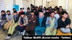 بر بنیاد معلومات طالبان، این مهاجران افغان به دلیل نداشتن مدارک قانونی توسط پولیس پاکستان بازداشت و از مدتی به این‌سو در زندان‌های آن کشور به سر می‌بردند.