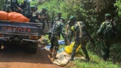 Sango ya Mokili Lelo: Ba Codeco babomi bakimi bitumba koleka 46 na camp Lala na Djugu