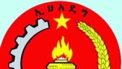 ታዛቢ - ስለኢሕአዴግ አሥራ አንድኛ ጉባዔ