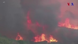 Kaliforniya yanğınlarla mübarizədədir