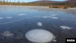 Methane bubbles up from the thawed permafrost at the bottom of the thermokarst lake through the ice at its surface. (Katey Walter Anthony/ University of Alaska Fairbanks)