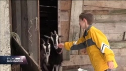 Dječak Amer iz sela kod Bratunca: „Nisam ja više mali za igračke, sada skupljam ovce”