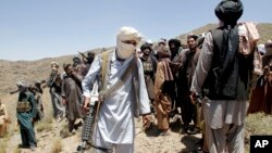 Taliban
