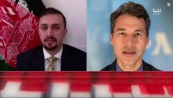 فایق: در هر نظام افغان‌ها باید حق سهم‌گیری در تصمیم‌گیری‌های مهم داشته باشند - گفتگوی ویژه