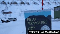 Benjamin Vidmar and his son grow microgreens and a quail from their urban farm in Longyearbyen, Norway. Vidmar's company is called Polar Permaculture. (THOMSON REUTERS FOUNDATION/Thin Lei Win)