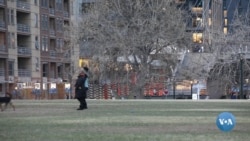 Amerikadagi o'zbek profesionallari - Zohid Salohiddinov