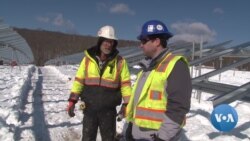 Does Fighting Climate Change Mean Wrecking the Economy?