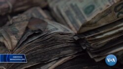 Dollar qanday yangilanadi?