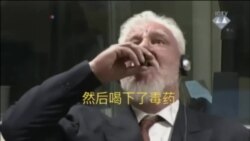 前波黑克族指挥官在海牙法庭服毒身亡