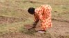 A woman plows the earth in the village of Woudourou, in Senegal's Matam region, May 17, 2017. (S. Christensen/VOA)