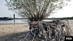 Permukaan air Sungai Waal di Druten, Belanda, jauh di bawah tingkat normal akibat kekeringan yang melanda banyak wilayah Eropa dalam musim semi ini.