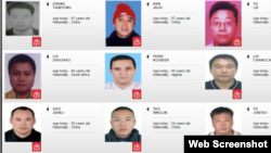 现在国际刑警组织公开查询系统中只能查到红色通缉令逃犯47人，不包括任何“百名红通人员”