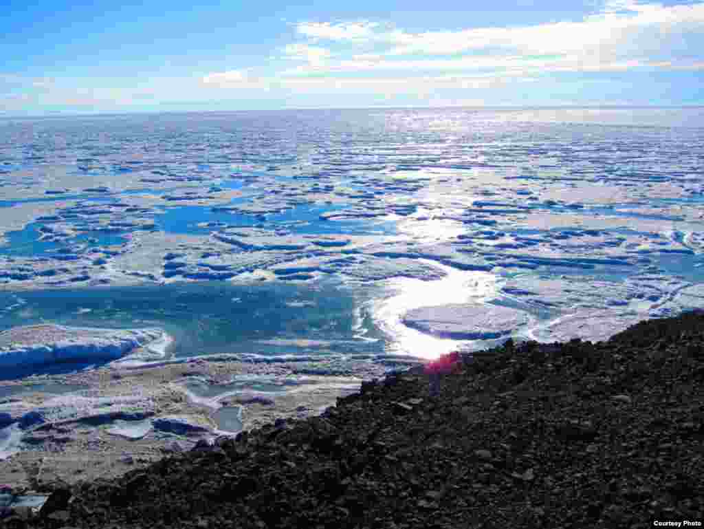 Hanya 2 persen dari Antartika yang tidak ditutupi es. (Jim Haugen/NSF) 