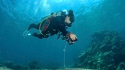 Quiz - Scientists Create First Map of World’s Corals