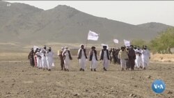 AQSh va Tolibon o'rtasida bir haftalik sulh