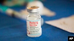 모더나의 신종 코로나바이러스 백신 (자료사진)