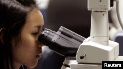 A Thai scientist looks through a florescent microscope to identify influenza virus cells at the World Health Organization Influenza Center in Bangkok, October 21, 2005.