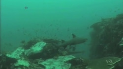 Obama Announces Initiative to Protect Pacific Ocean