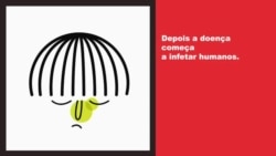 O coronavírus (COVID-19) já é uma pandemia?